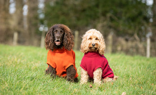 Cosy up and cuddle down in our new cosy fleece jackets!