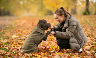 Love Your Pet Day: Celebrating the Wonders of Our Beloved Companions!