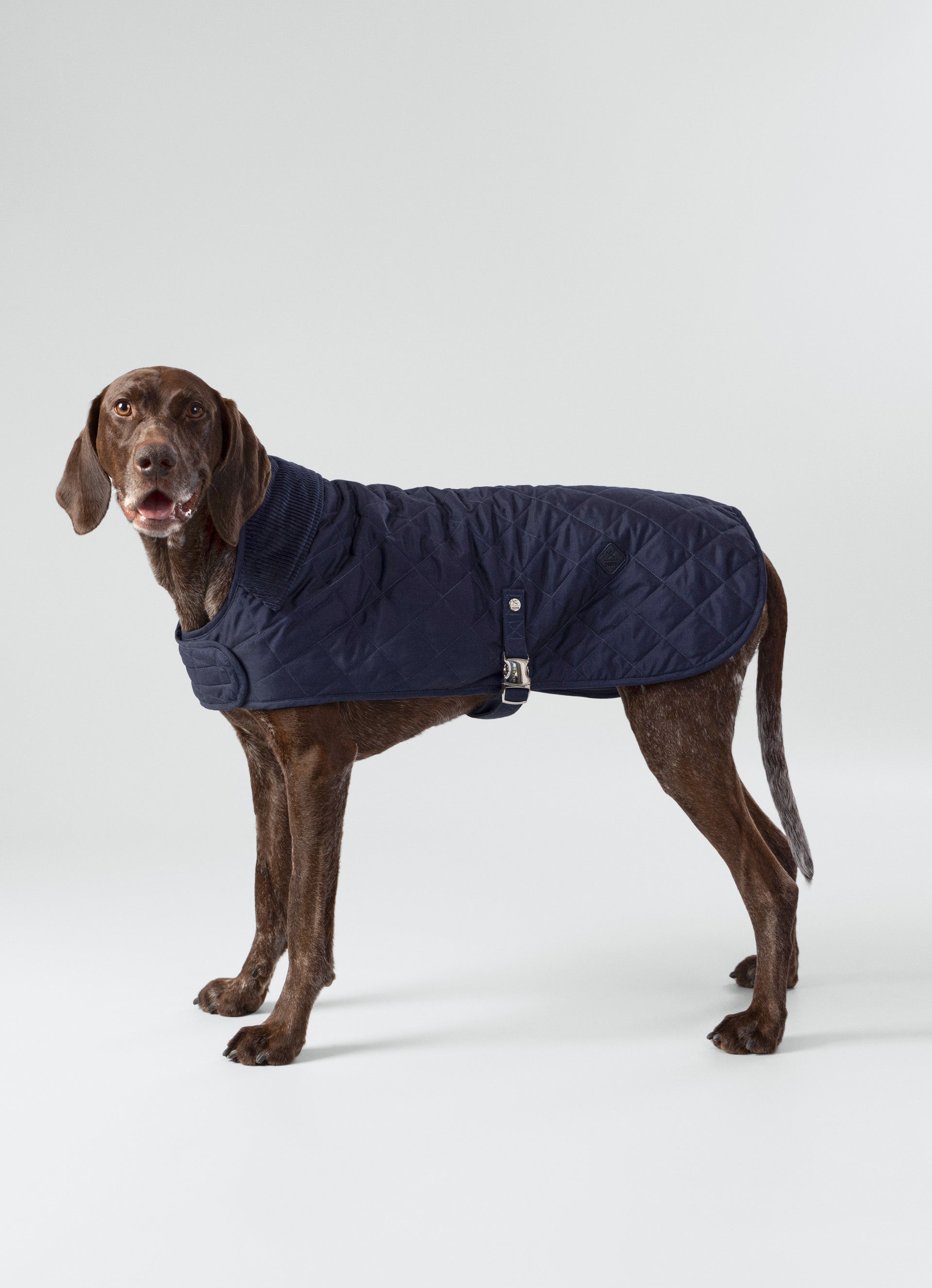 Hugo & Hudson x Hackett Quilted Dog Jacket Hugo & Hudson London