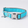 Turquoise Star Fabric Dog Collar