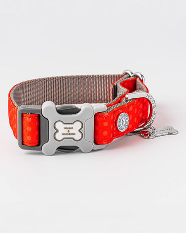 Red and Coral Polka Dot Fabric Dog Collar