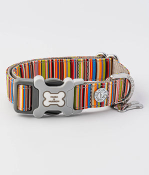 Striped Multi-colour Fabric Dog Collar