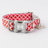 Pink Watermelon Fabric Dog Collar