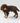Dark Green Checked Herringbone Tweed Dog Jacket Studio Shoot