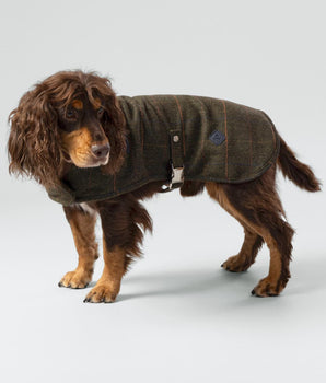 Dark Green Checked Herringbone Tweed Dog Jacket Studio Shoot