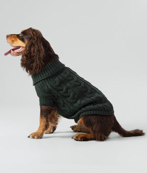 Cable Knit Pullover Dog Jumper - Green Studio Shoot