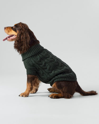 Cable Knit Pullover Dog Jumper - Green Studio Shoot