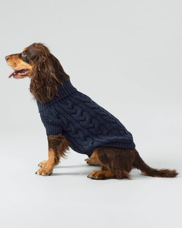 Cable Knit Pullover Dog Jumper - Navy Studio Shoot