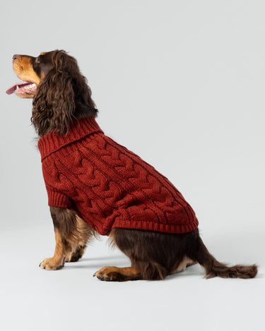 Cable Knit Pullover Dog Jumper - Brick Studio Shoot