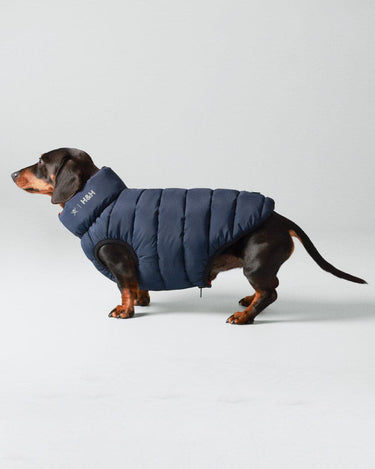 Reversible Dog Puffer Jacket - Navy & Berry Studio Shoot