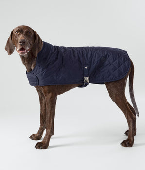 Navy Quilted Dog Jacket Studio Shoot
