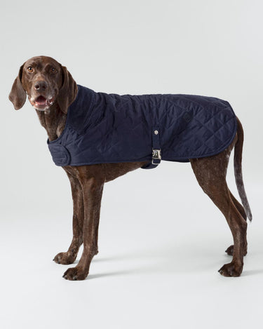 Navy Quilted Dog Jacket Studio Shoot