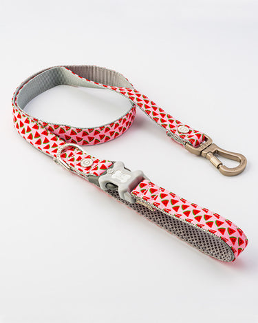 Pink Watermelon Fabric Dog Lead