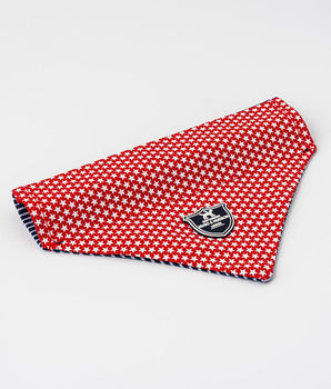 Fabric Dog Bandana - Red Star