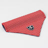 Fabric Dog Bandana - Red Star