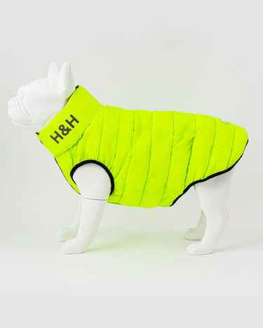 Reversible Dog Puffer Jacket - Green and Navy