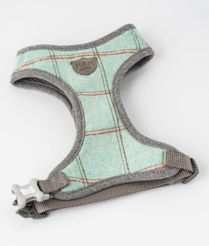 Tweed Dog Harness - Aqua Checked