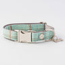 Tweed Metal Buckle Dog Collar - Aqua Checked