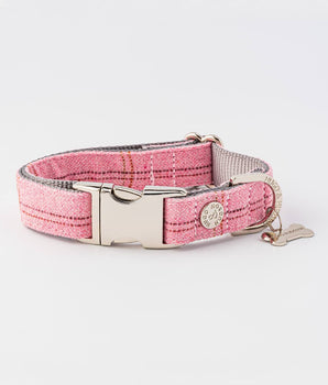 Tweed Metal Buckle Dog Collar - Pink Checked