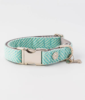 Tweed Metal Buckle Dog Collar - Aqua Herringbone