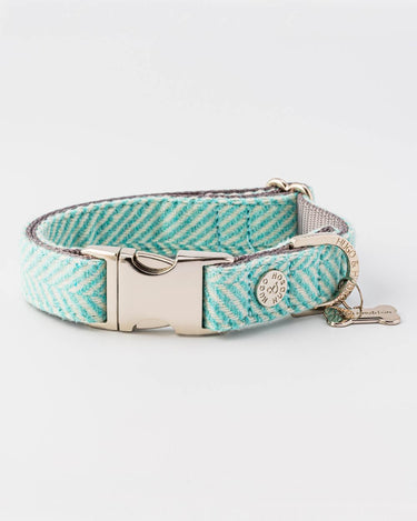 Herringbone dog collar hotsell