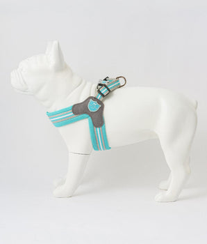 Easy Walk V Dog Harness - Aqua