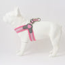 Easy Walk V Dog Harness - Pink