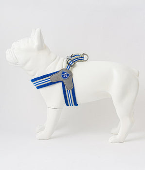 Easy Walk V Dog Harness - Royal Blue