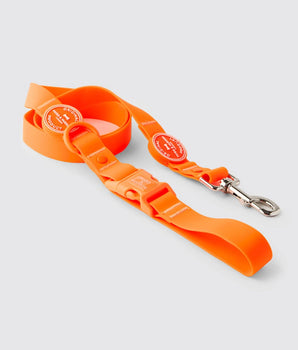 Waterproof Dog Lead - Orange