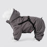 Winter Dog Snowsuit - Grey