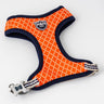 Fabric Dog Harness - Orange Geometric