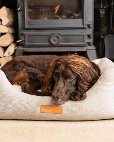 Sand Herringbone Luxury Dog Bed Lifestyle