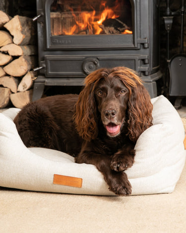 Beige Herringbone Luxury Dog Bed Lifestyle