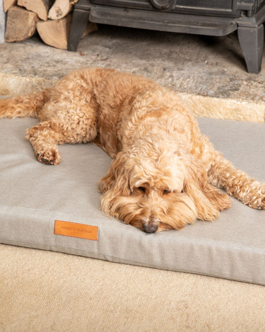 Grey Foam Mattress Dog Bed Lifestyle