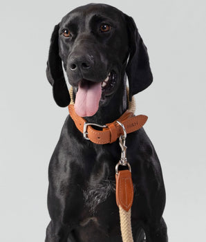 Natural Round Rope Dog Lead with Cognac Leather Studio Shoot