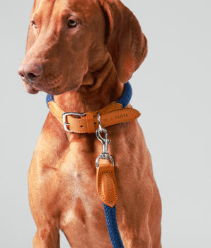 Navy Round Rope Dog Lead with Cognac Leather Studio Shoot