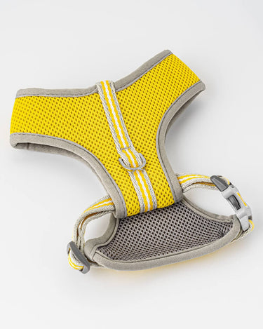 Mesh Dog Harness - Yellow Back Buckle