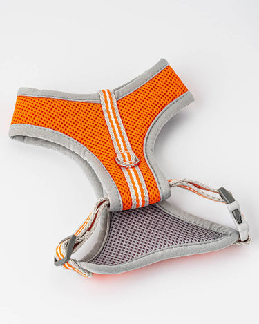 Mesh Dog Harness - Orange Back Buckle