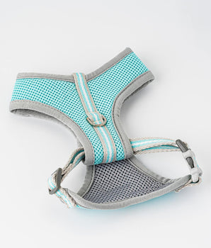 Mesh Dog Harness - Aqua Back Buckle