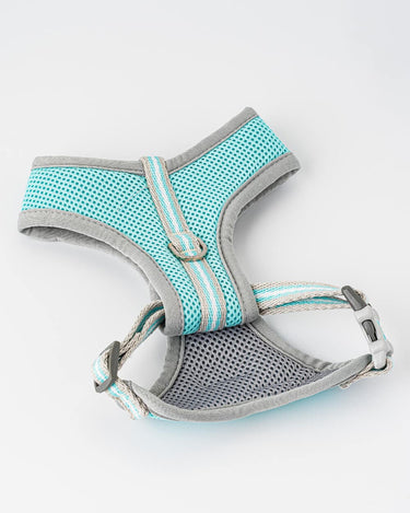 Mesh Dog Harness - Aqua Back Buckle