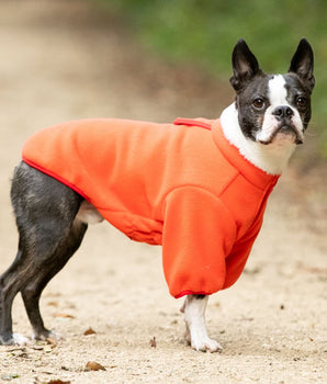 Outdoor Fleece Dog Jacket - Orange Lifestyle