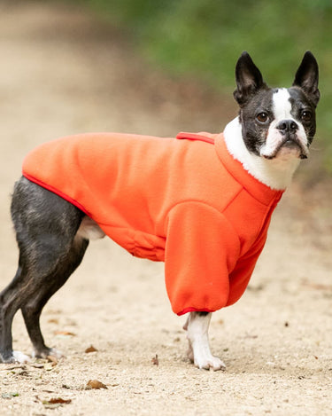 Outdoor Fleece Dog Jacket - Orange Lifestyle