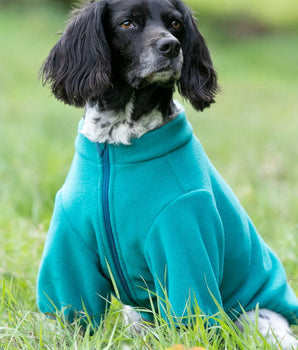 Outdoor Fleece Dog Jacket - Teal Green Lifestyle