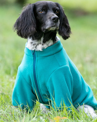 Outdoor Fleece Dog Jacket - Teal Green Lifestyle