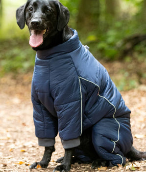 Outdoor Winter Dog Suit - Navy Lifestyle