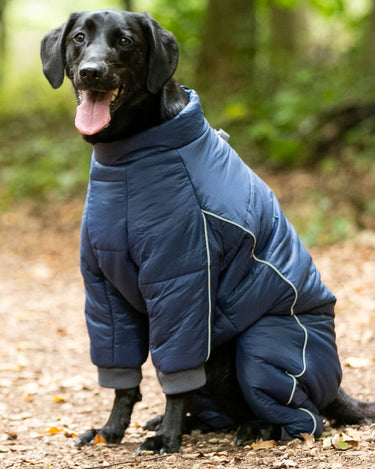 Outdoor Winter Dog Suit - Navy Lifestyle