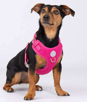 Pink Luxury Tweed Dog Harness Studio Shoot