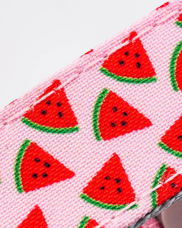 Pink Watermelon Fabric Dog Collar Pattern