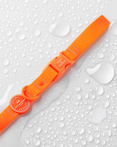 Waterproof Dog Lead - Orange Water Drops