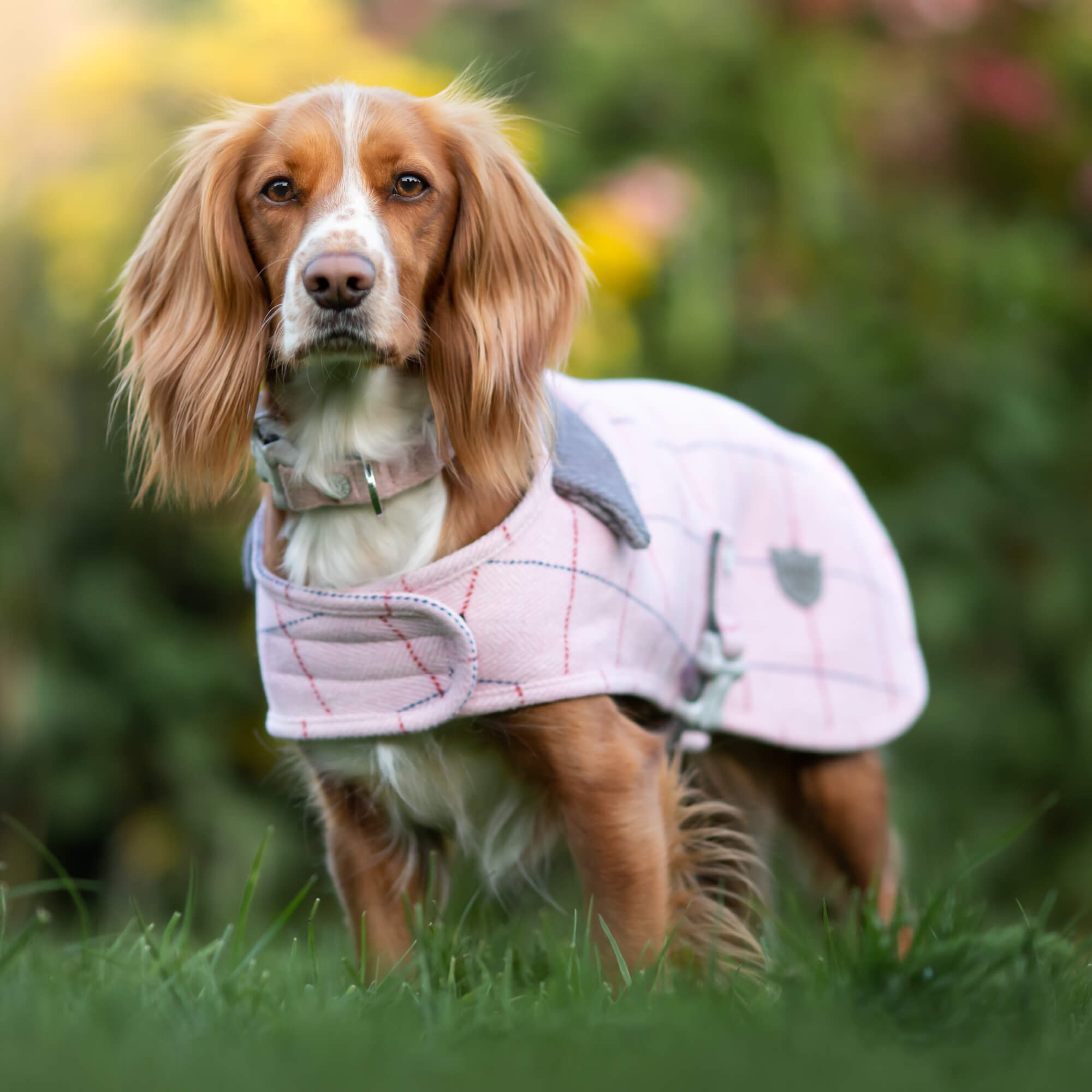 Pink Checked Tweed Jacket